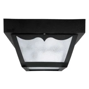 2-Light Outdoor Flush Mount